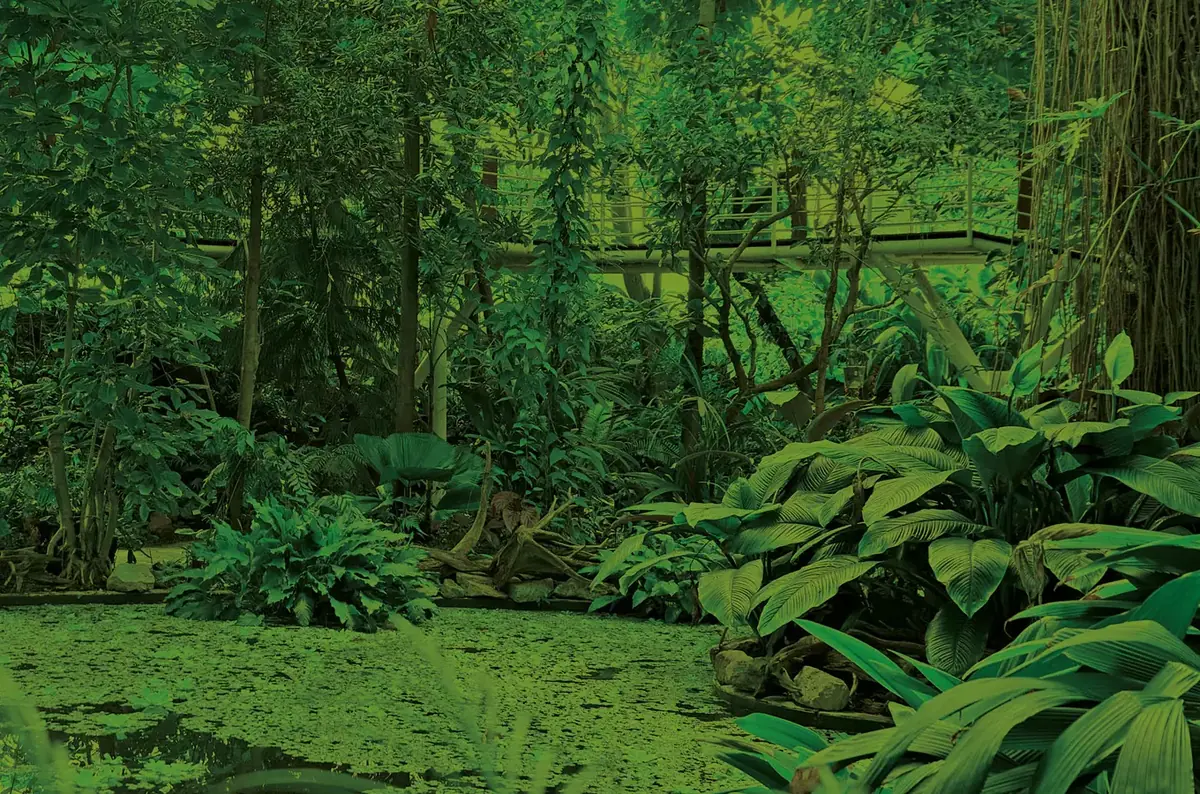 Vom Kurort in den Dschungel - Führungen durch den Botanischen Garten Teplice ohne Anmeldung — Botanická zahrada Teplice, Teplice