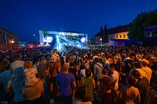 Mendel Festival
