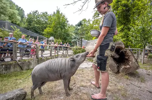 Kommentierte Tierfütterung im Zoo Jihlava 2026