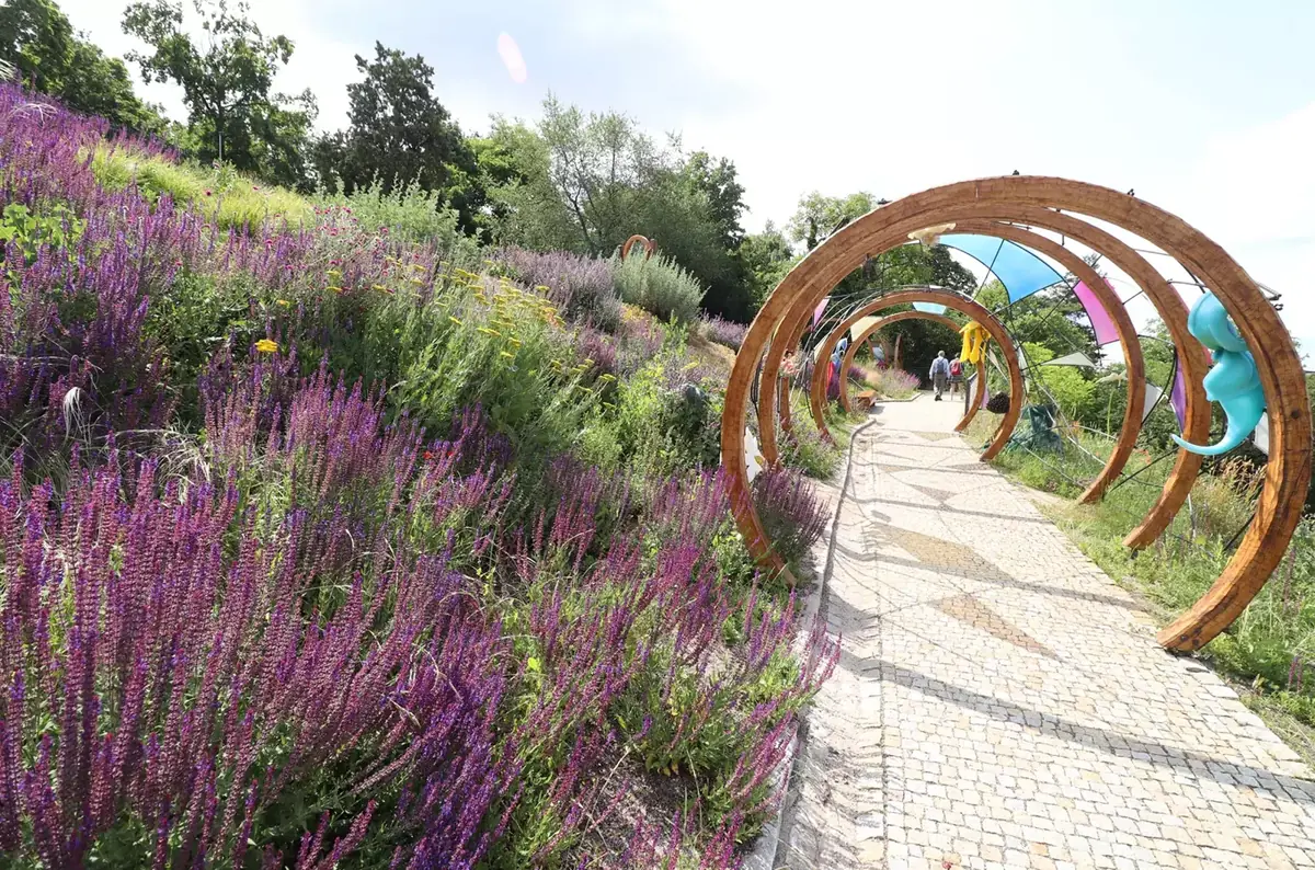 Plant Odyssey - Summer Exhibition at Prague Botanical Garden — Botanická zahrada hl. m. Prahy, Prague