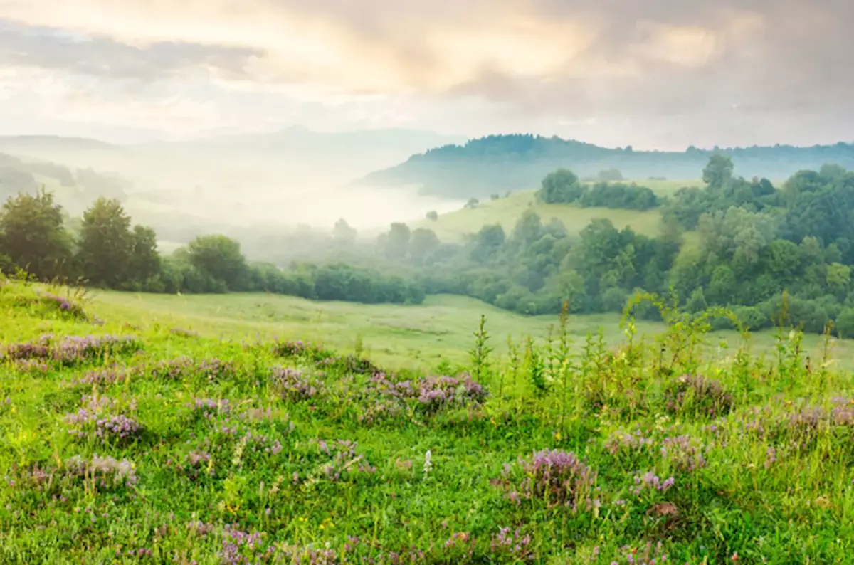 Wildnis-Führer 2026 im Nationalpark Šumava — Kepelské mokřady, Čachrov