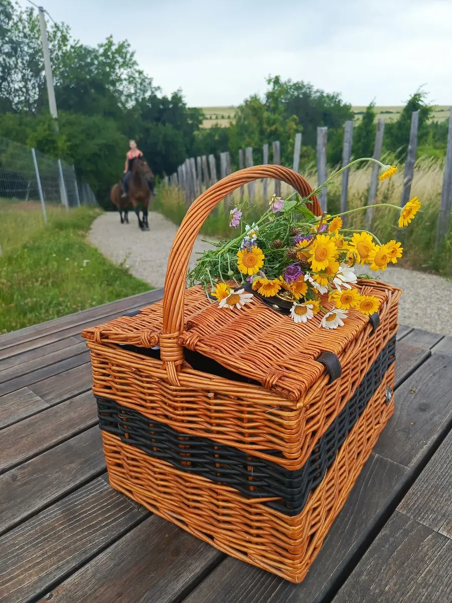 Wochenende der Sommergeschmäcker im Královický Dvůr — Königshof Královice, Královice