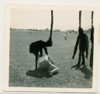 David Tibet: Hallucinate, Children