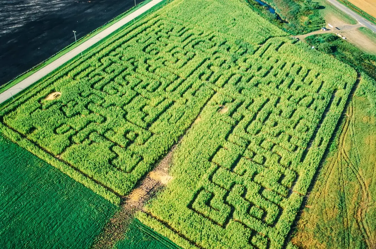 Kukuřičné bludiště Úvalno — Zahrada Flora, Úvalno