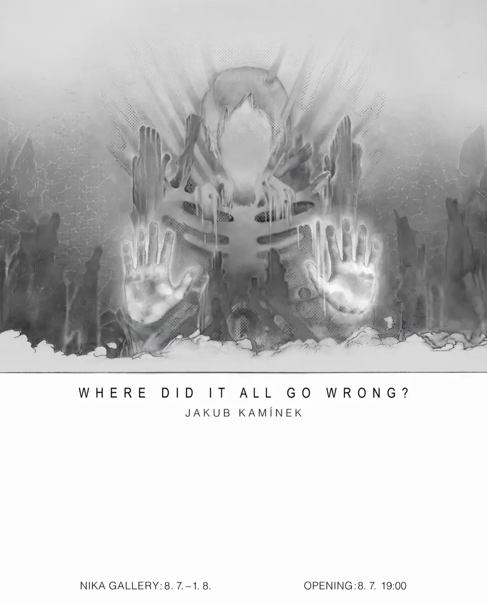 Jakub Kamínek - Where did it all go wrong :X — NIKA – Malá Galerie UMPRUM, Prague