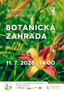 Botanischer Garten im Sommer - Höhenunterschiede