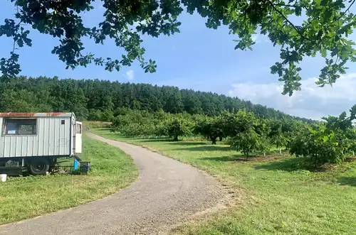 Třešňový sad Hoříkovice – každoroční letní samosběr třešní