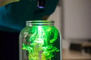 Treasure in the Waves - Summer Workshop with Experiments at Vida!