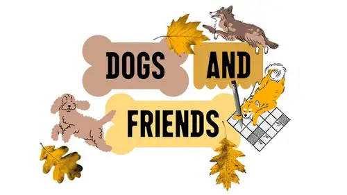 Dogs & Friends: осеннее издание