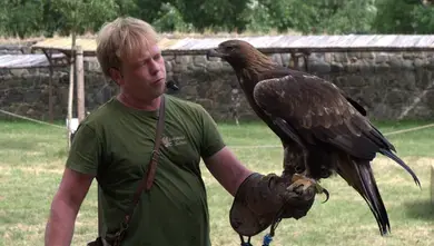 Dravci na Švihově — Vodní hrad Švihov, Švihov
