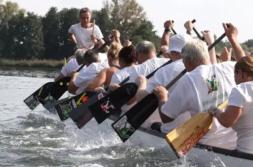 Drachenboot-Training