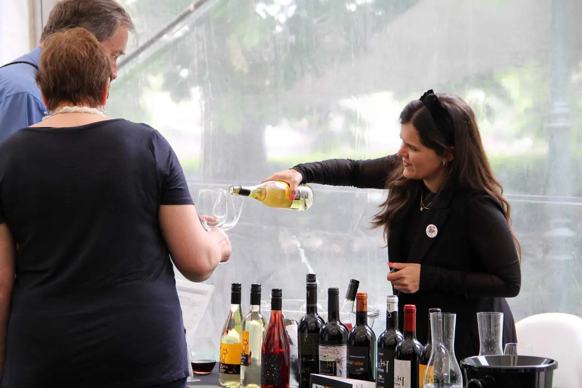 Winemakers Music Days II - OOZ & Spanish wines — Foltýn Wine, Hodkovičky