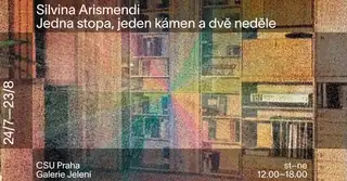 Silvina Arismendi - One Trace, One Stone and Two Sundays