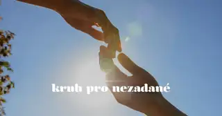 Circle for Singles: A Real Meeting