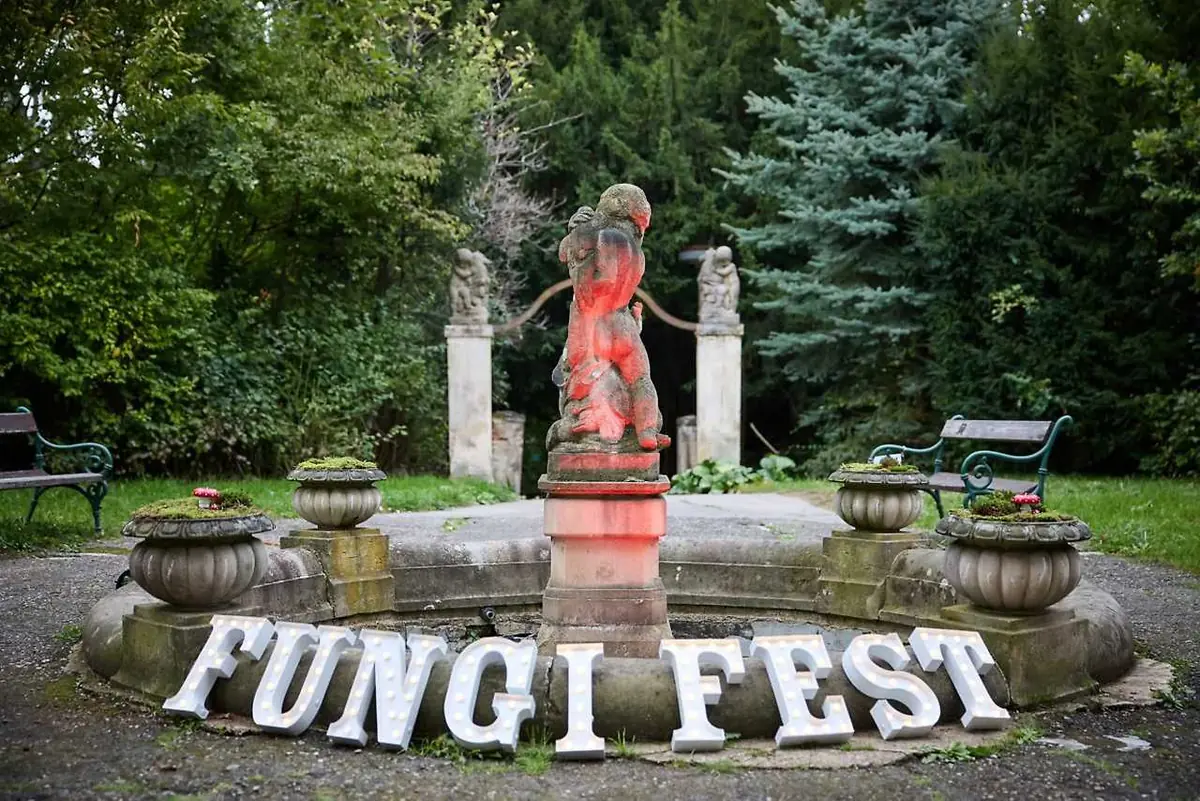 Czech Fungi Fest — Praha – různá místa, Prague