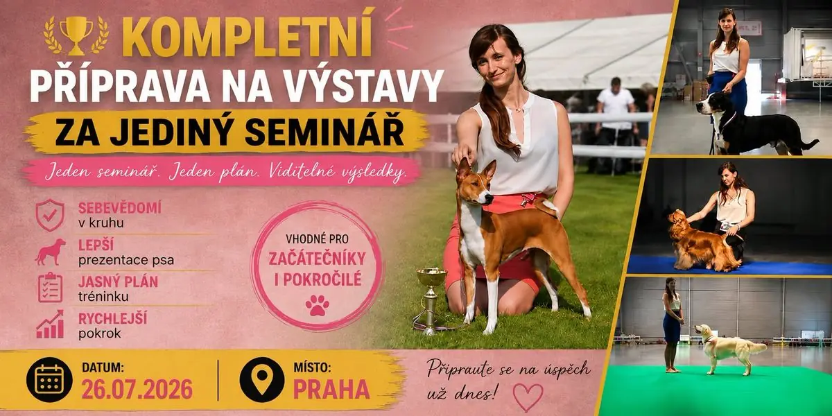 Seminar: Exhibition Preparation and Handling — Praha Kbely, Prague