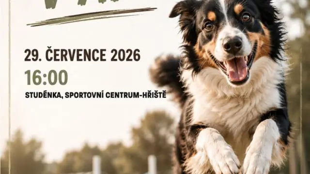 LETNÍ FESTIVAL: Pejskové v akci — Areál Srudénka, Studénka