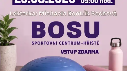 SUMMER FESTIVAL: Sunday Exercise - BOSU