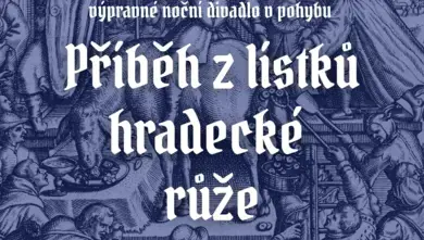 Příběh z lístků hradecké růže — Státní hrad a zámek Jindřichův Hradec, Zámecká galerie na II. nádvoří, vstup přes pokladnu zámku, Jindřichův Hradec