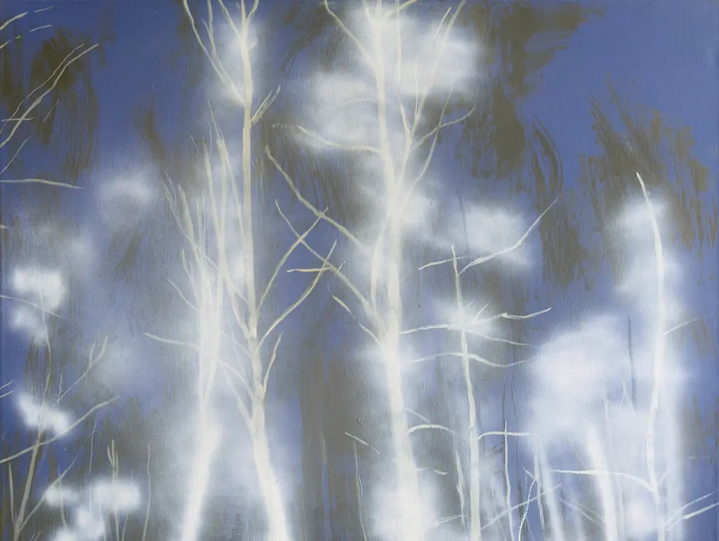 Vendula Váňová: zlesa — Galerie der Stadt Třinec, Třinec