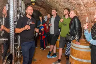 Durch die Weinberge von Hovorany zum Wein