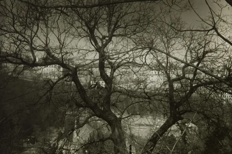 A Walk Through Prague by Josef Sudek — Galerie Josefa Sudka, Prague