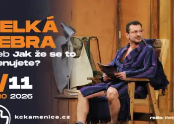 Velká zebra aneb Jak že se to jmenujete?