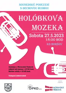 Сусідське посиденьки з духовою музикою - Голобкова мозека