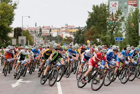 Znojmo Burčák Tour Loucký klášter — Loucký klášter - Velký štukový sál, Znojmo
