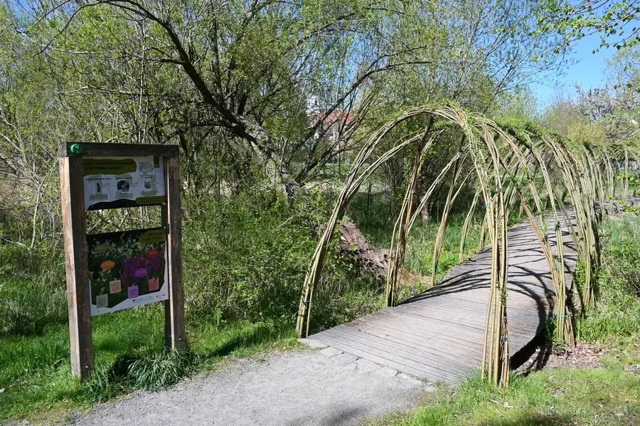 Where There Is Water, There Is Life: With Kača Along the New Educational Trail — Geopark Říčany, Prague