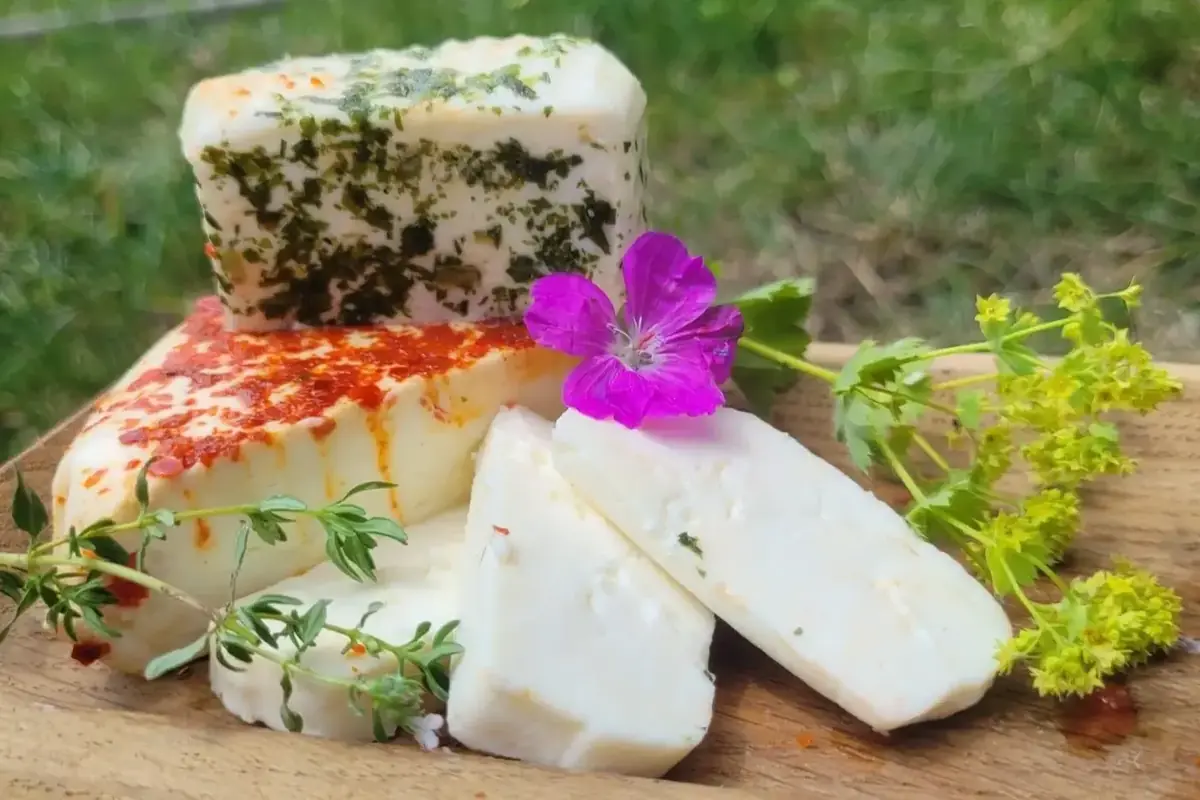How to Make Cheese at Home? — Geopark Říčany, Prague