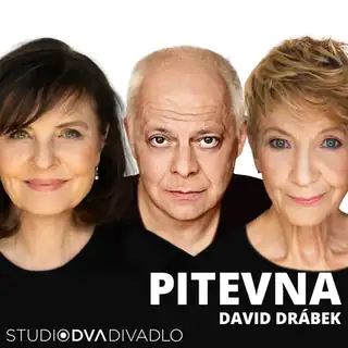 Pitevna