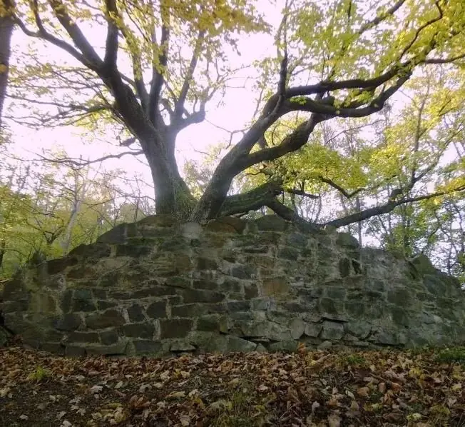 Archaeological Summer: Guided Tour of Zuvačov Castle — Moravian Slovakia Museum, Uherské Hradiště