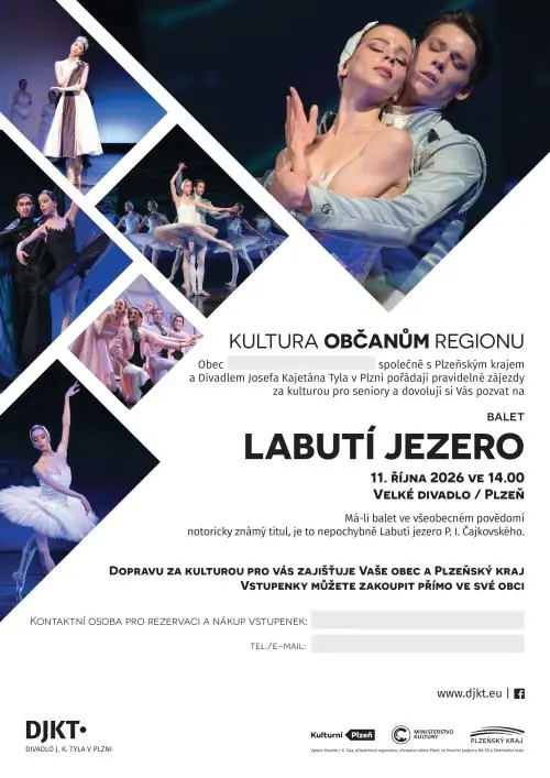 Swan Lake — Nepomuk, Pilsen