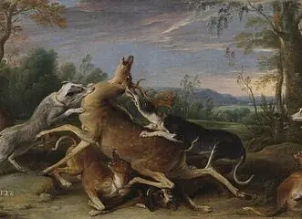 Exhibition: Dog and Hunting — NZM Ohrada - Muzeum lesnictví, myslivosti a rybářství, Hluboká nad Vltavou
