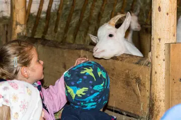 Se zvířátky dědinou — Wallachian Open Air Museum, Rožnov pod Radhoštěm