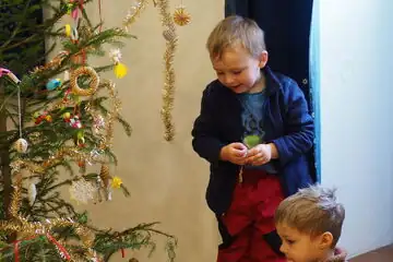 Über den Weihnachtsbaum und die Krippe