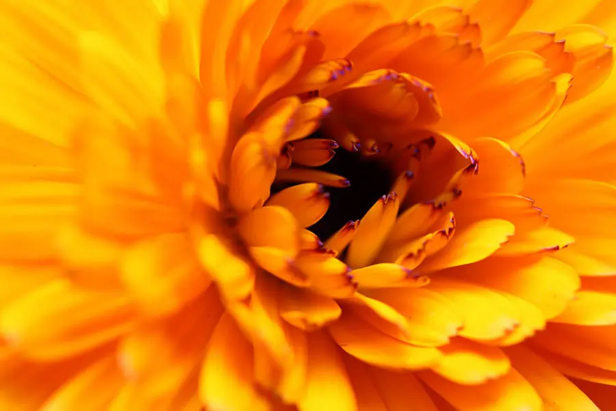 Training for Life III - Solar Plexus Chakra — Druna - Highland Plateau, Prague