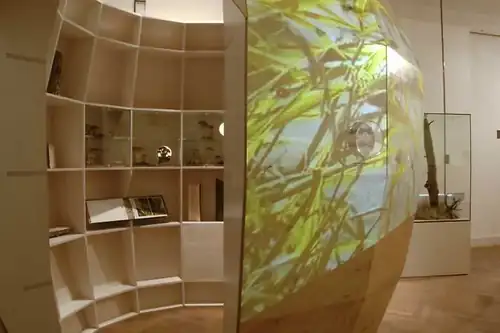 Přírodovědná expozice