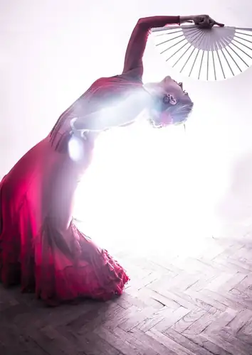 FLAMENCO NIGHT