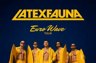 Latexfauna (UA)