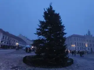 Adventsmarkt und Weihnachtsbaumbeleuchtung 2026