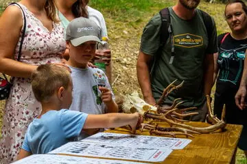 Léto na hájovně — Wallachian Open Air Museum, Rožnov pod Radhoštěm