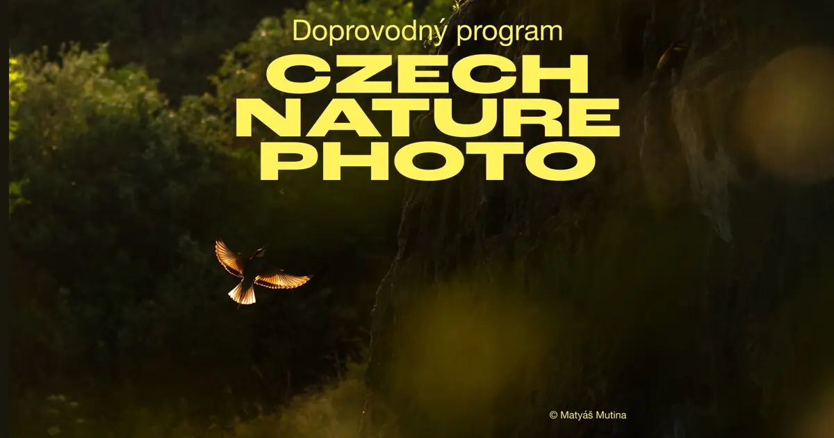 Куратируемая экскурсия по выставке Czech Nature Photo — Czech Photo Centre, Прага