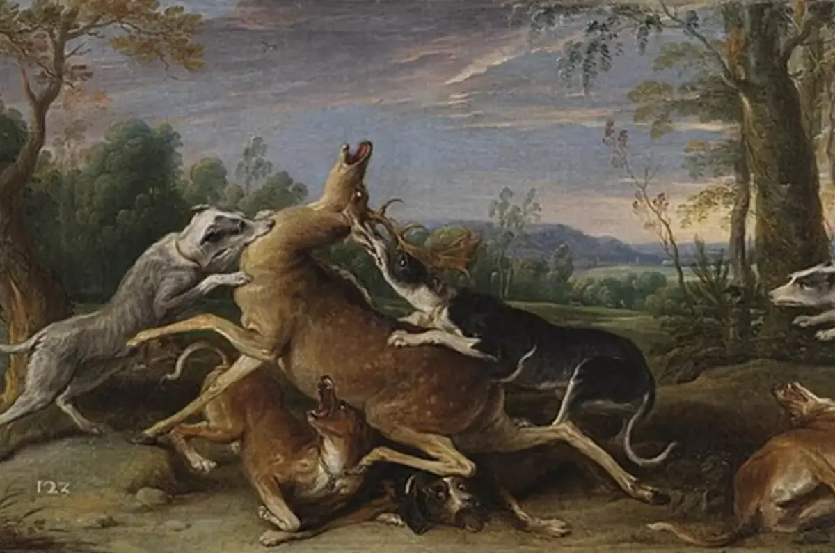 Ausstellung Hund und Jagd auf der Ohrada in Hluboká nad Vltavou — Národní zemědělské muzeum Ohrada, Hluboká nad Vltavou