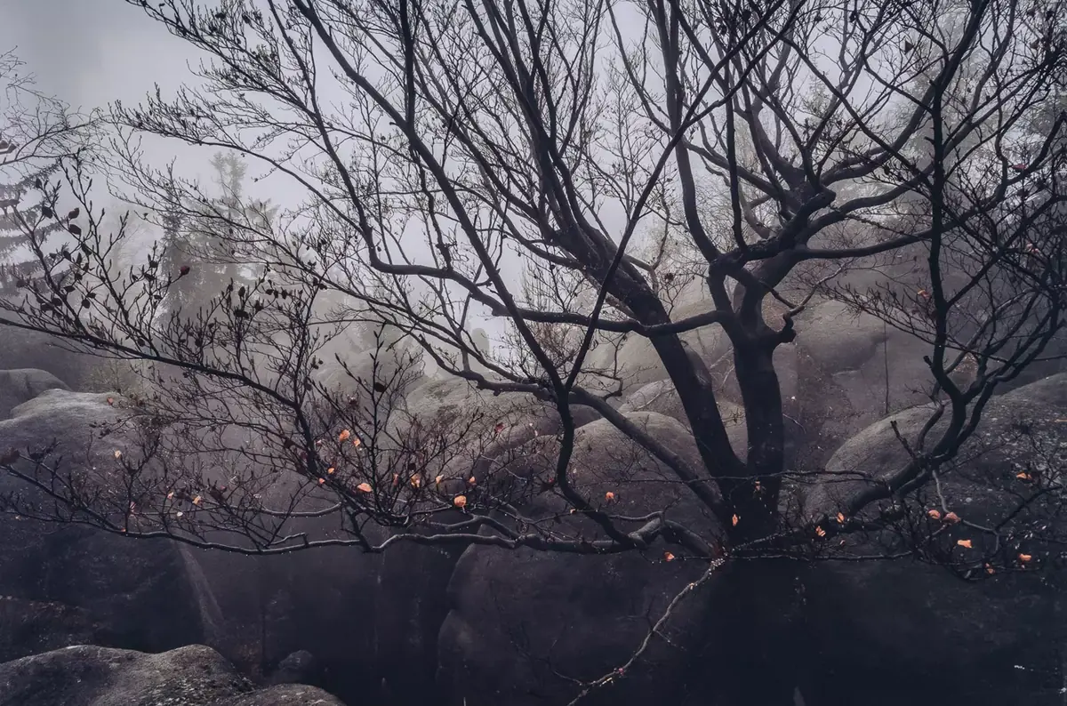 Silent Places — Stará papírna – Čapkův mlýn, Hronov