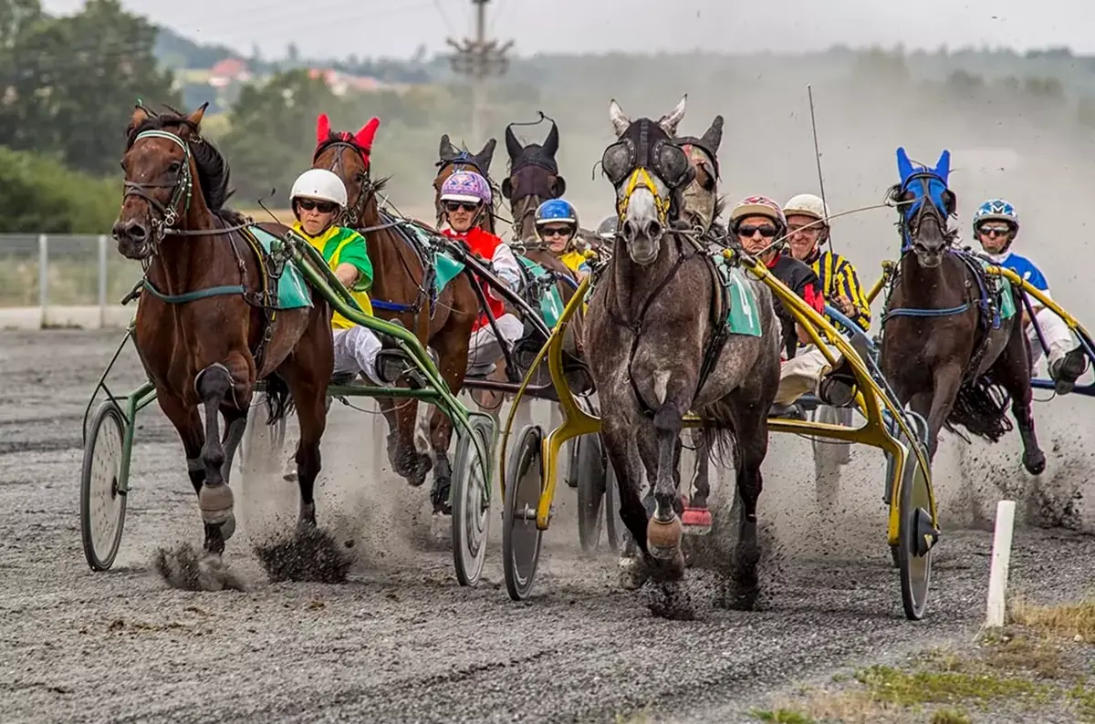 Trotting Races in Bravantice 2026 — Hipodrom Bravantice, Bravantice