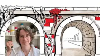Wie schreibt man über Chemie, ohne dass Chemiker lachen? | Nerds unter der Brücke