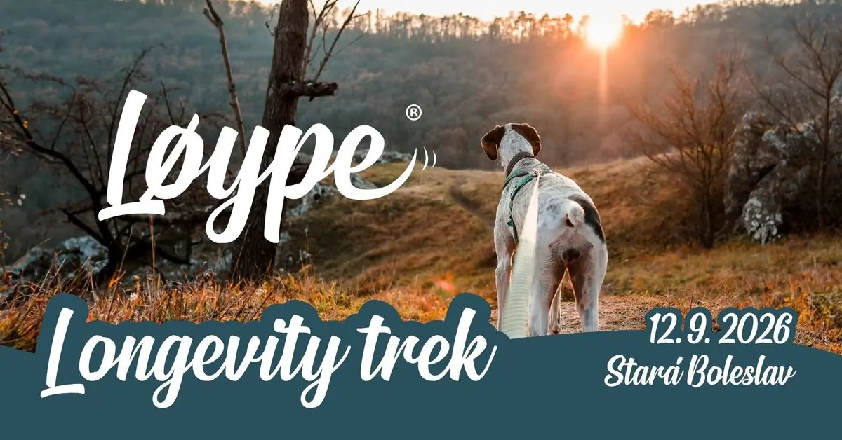 Loype Longevity Trek — Letní kino Houštka, Prague