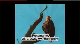 Protomartyr